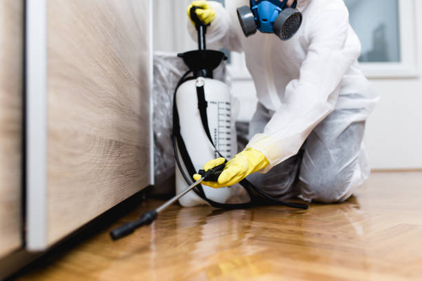 Best Cockroach Control Services  in Toledo, IL