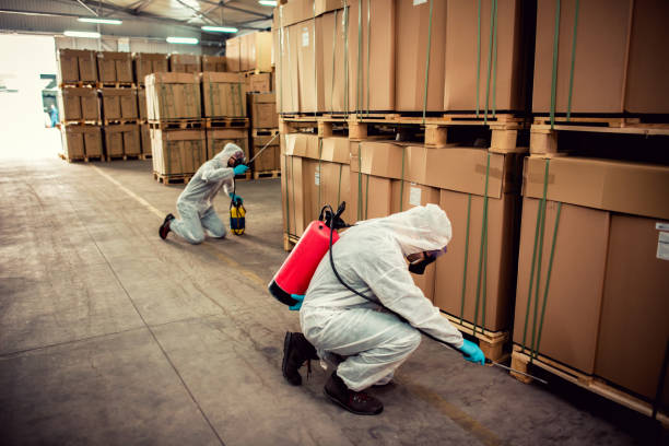Best Pest Removal Services  in Toledo, IL
