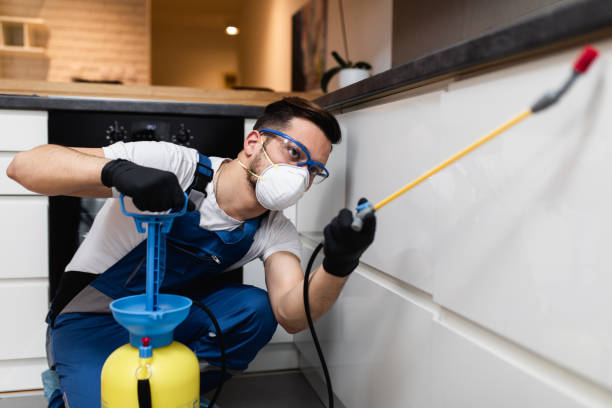 Best Ant Control Services  in Toledo, IL