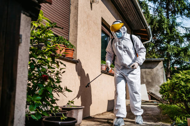 Best Rodent Control Near Me  in Toledo, IL