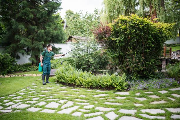 Best Mosquito Control Services  in Toledo, IL