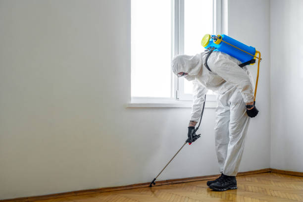 Best Rat Extermination Near Me  in Toledo, IL