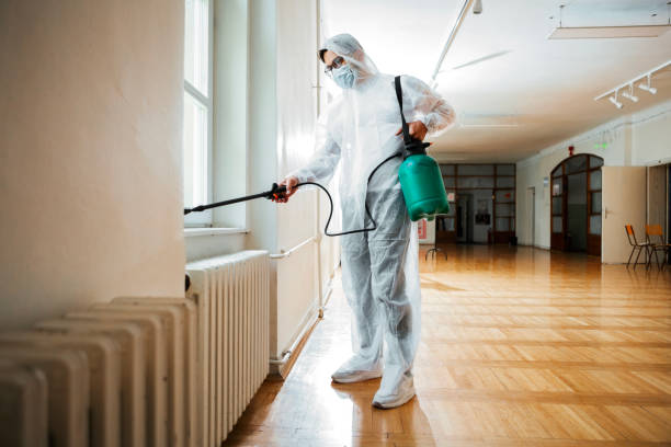 Best Ant Control Services  in Toledo, IL