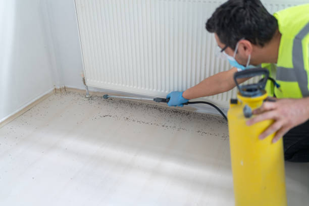 Best Mosquito Control Services  in Toledo, IL